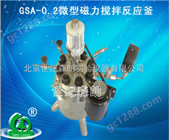 GSA-0.2微型磁力搅拌反应釜