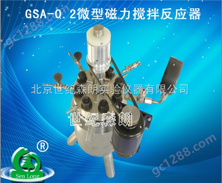 GSA-0.2微型磁力搅拌反应器