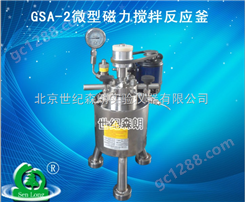 GSA-2微型磁力搅拌反应釜