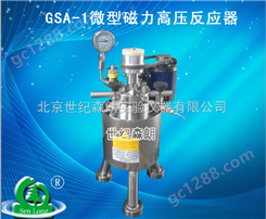 GSA-1微型磁力高压反应器