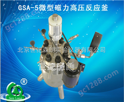GSA-5微型磁力高压反应釜