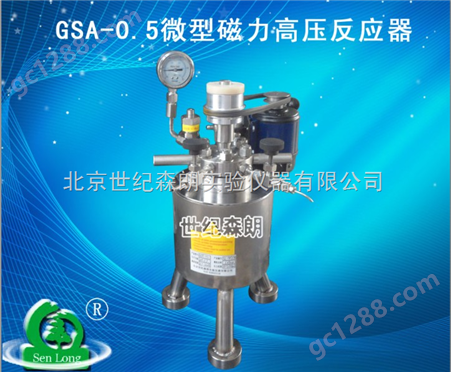 GSA-0.5微型磁力高压反应器