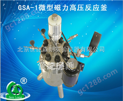 GSA-1微型磁力高压反应釜
