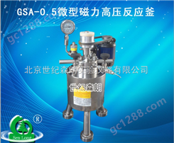 GSA-0.5微型磁力高压反应釜